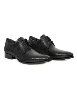 SHOE NEWMAN M-2243-C17